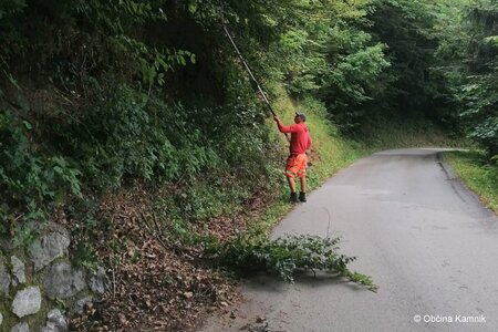 Motnik - odstranitev vegetacije (1)